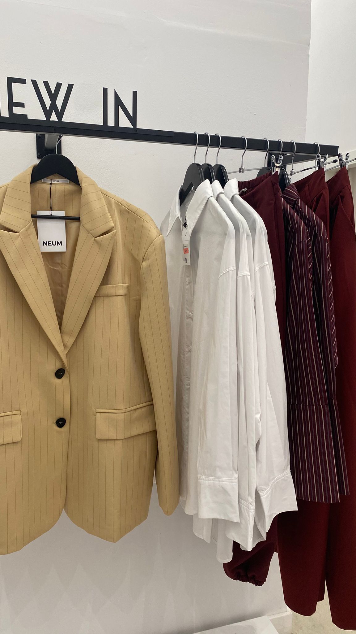 Blazer raya diplomática mantequilla